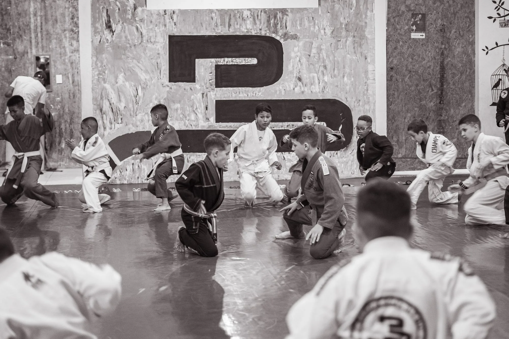 Clase compartiendo una explicación en el tatami